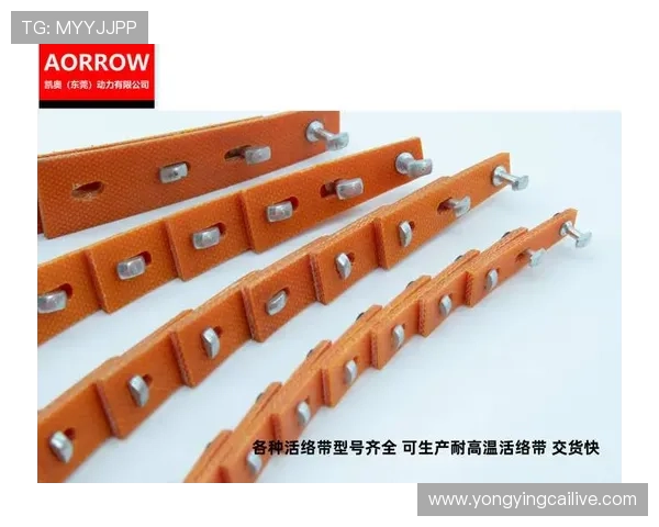 基于官方飞艇走势图的数据解读与精准趋势分析实战指南全面应用版